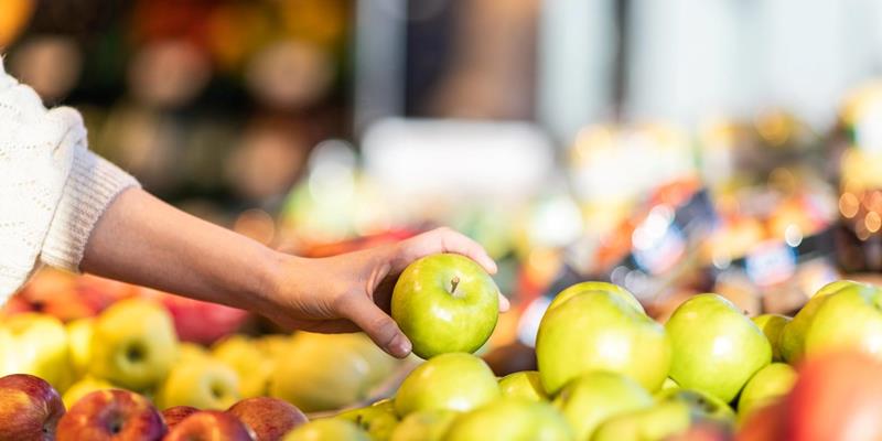 Diverse selection of fresh South Tyrolean apples at Grufrut Group in Bronzolo