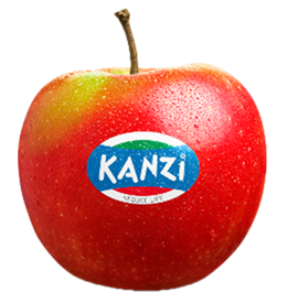 Photo of the apple variety Kanzi