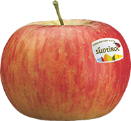 Photo of the apple variety Topaz