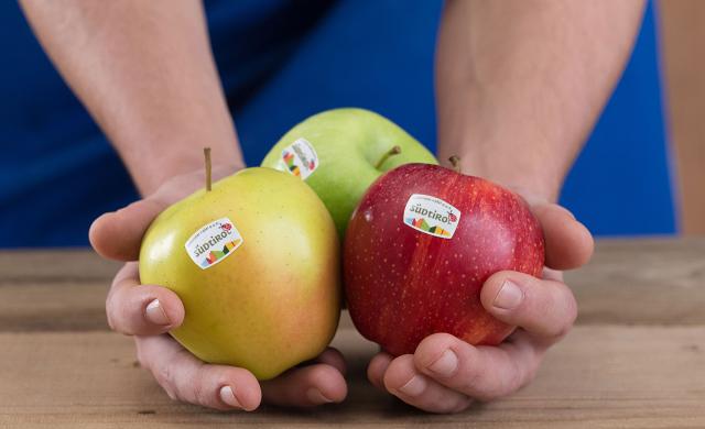 Three different varieties of Südtiroler Apfel PGI in a farmer's hand, with the Südtiroler Apfel PGI logo on the fruits.