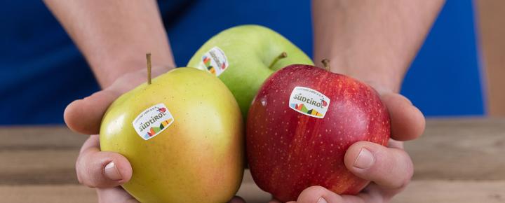 Three different varieties of Südtiroler Apfel PGI in a farmer's hand, with the Südtiroler Apfel PGI logo on the fruits.