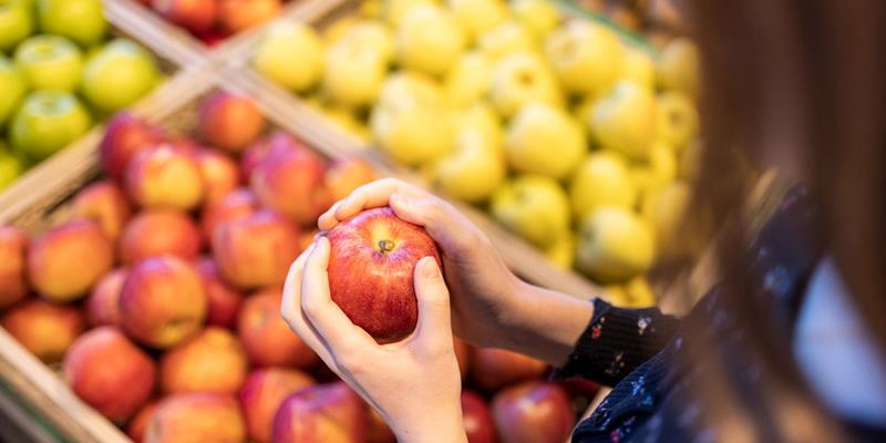 Wide selection of South Tyrolean apples at the Fruchthof Überetsch in Bolzano