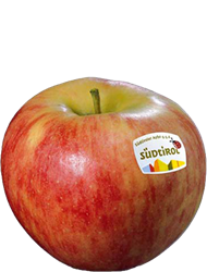 Photo of the apple variety Elstar apple