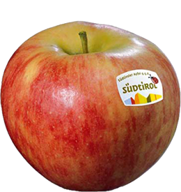 Photo of the apple variety Elstar apple