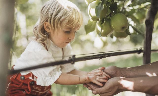 A child curiously explores the various features of the apple orchard