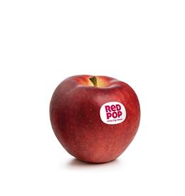 Apple variety RedPop