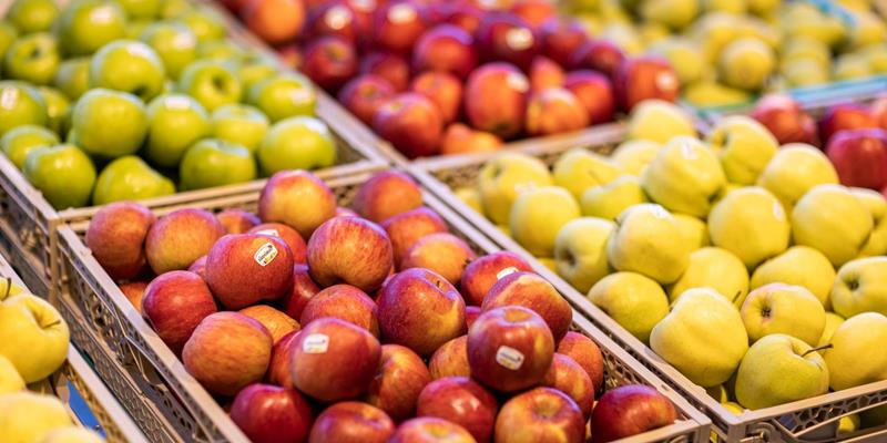 Fresh South Tyrolean apples at the Laurin fruit cooperative in Bolzano