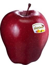 Photo of the apple variety Red Delicious