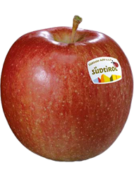 Photo of the apple variety Braeburn Apfel