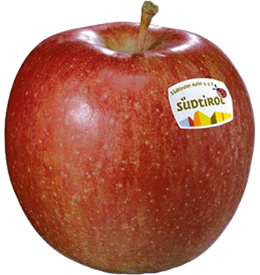 Photo of the apple variety Braeburn Apfel