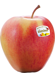 Photo of the apple variety Pinova