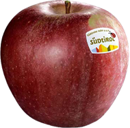 Photo of the apple variety Stayman Winesap