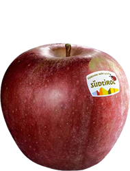 Photo of the apple variety Stayman Winesap