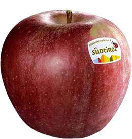 Photo of the apple variety Stayman Winesap