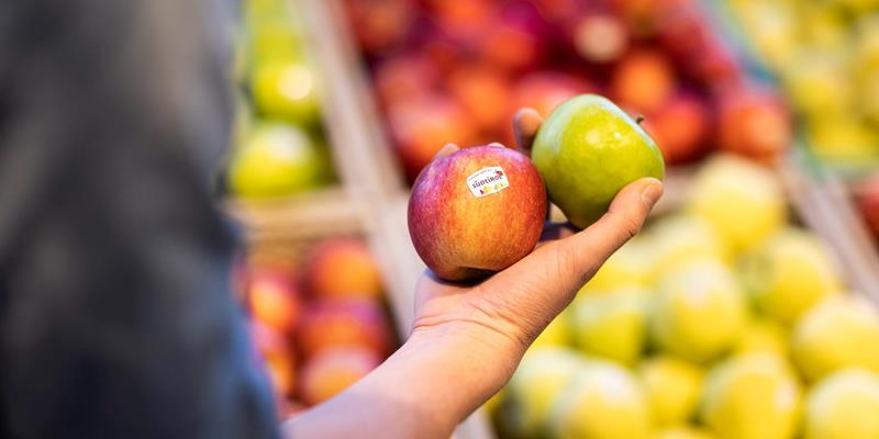 Fresh South Tyrolean apples from the cooperative Texel in Naturno