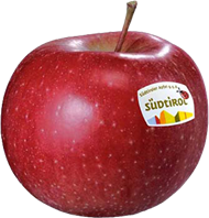 Photo of the apple variety Morgenduft