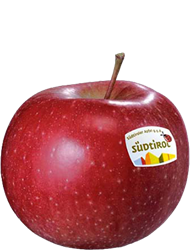 Photo of the apple variety Morgenduft