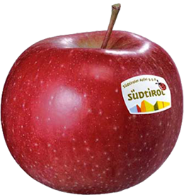 Photo of the apple variety Morgenduft