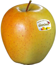 Photo of the apple variety Golden Delicious