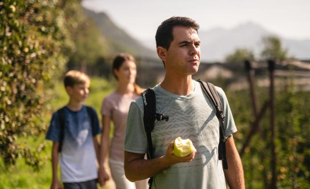 Family hiking through South Tyrolean apple orchards.