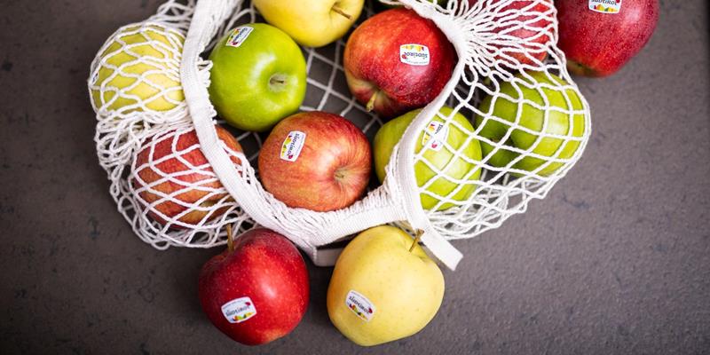 Fruit bag with a selection of Südtirol apples PGI from the Pomus fruit cooperative in Marlengo.