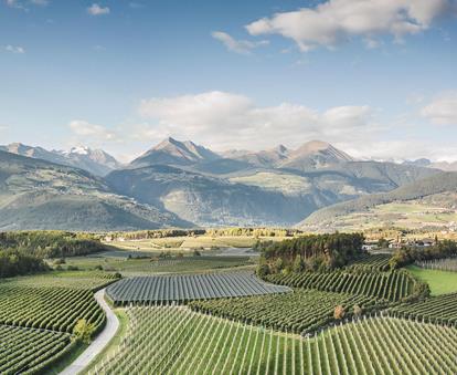 The land of apples - panoramic view of green apple orchards, with hills and mountains in the background in South Tyrol.