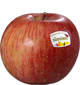 Photo of the apple variety Fuji