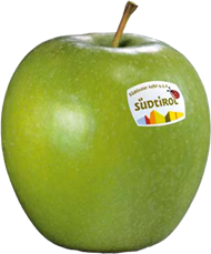 Photo of the apple variety Granny Smith