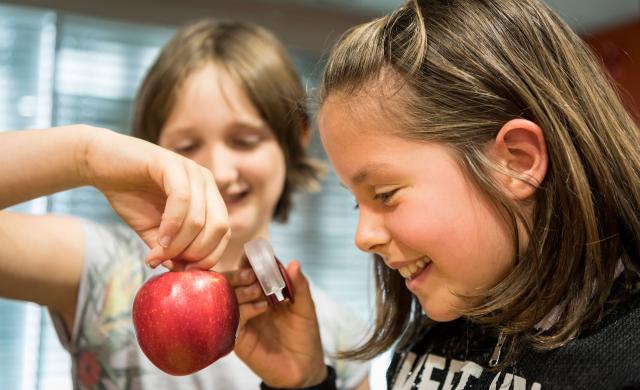 Two children examine a South Tyrolean Apple with a magnifying glass and enjoy it.