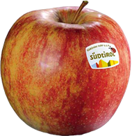 Photo of the apple variety Jonagold