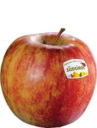 Photo of the apple variety Jonagold