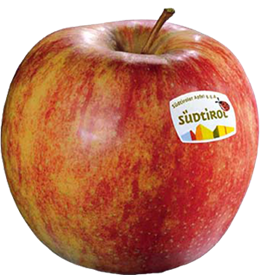 Photo of the apple variety Jonagold