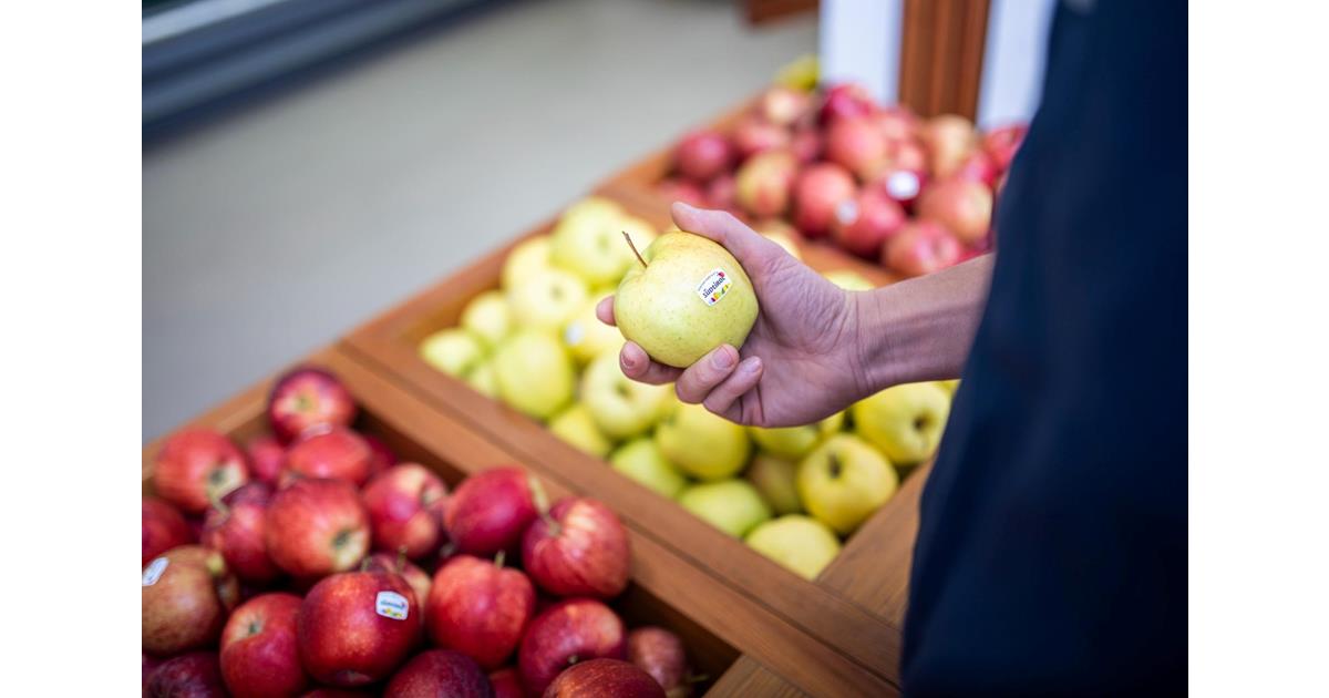 Buying apples in South Tyrol how to find my favourite apple variety