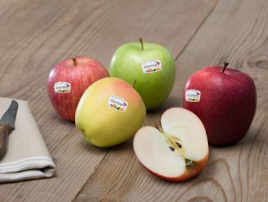 Five different varieties of South Tyrolean Apple PGI on a wooden table, one apple halved to show the inside. The apples display the South Tyrolean Apple PGI logo.